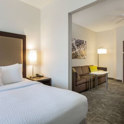 King Suite with Sofa Bed SpringHill Suites Louisville Hurstbourne/North Promo Code