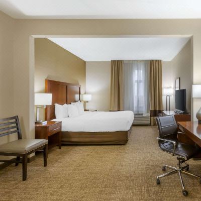 Standard Room With 1 King Bed-Non-Smoking (Non-Pet Friendly) Comfort Inn & Suites Jerome - Twin Falls Promo Code