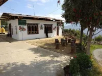 Thuji Homestays Hotels near Riverfront Punakha