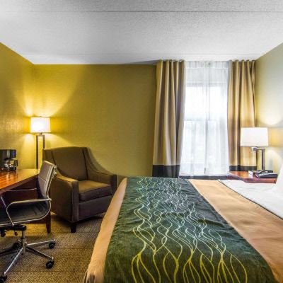 Standard King Room - Non-Smoking Comfort Inn Newport News/Williamsburg East Promo Code