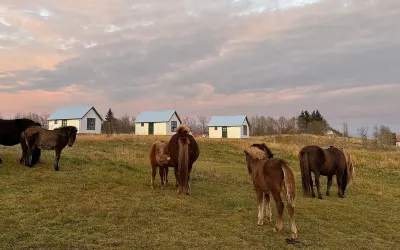 Áskot Cottages Hotels in Arnessyslu