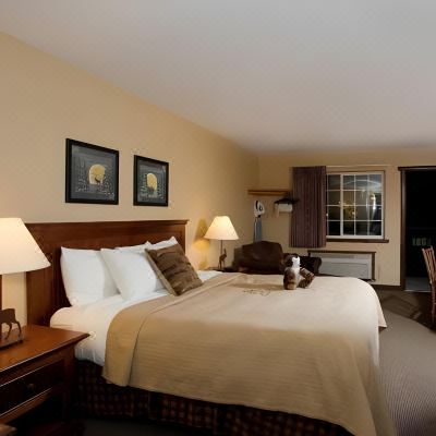 Deluxe King Room Stoney Creek Hotel St. Joseph Promo Code