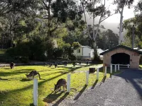 Breeze Holiday Parks - Halls Gap