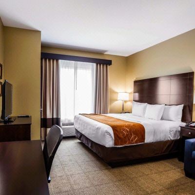 Suite, 1 Bedroom, Non Smoking (Small) Comfort Suites Houston Northwest Cy-Fair Promo Code