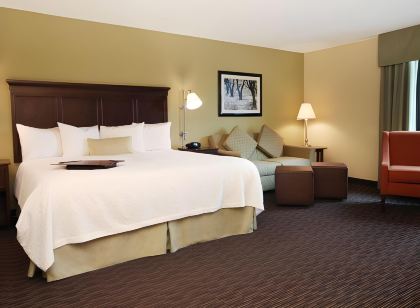 Hampton Inn Indianapolis-N.E./Castleton