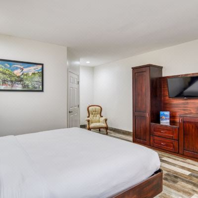 Standard One King Room Villa 1565 Promo Code