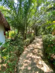 Piedra de Agua Palenque Hotels in Palenque