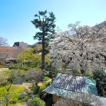 吉池日式旅館 鄰近早雲山的酒店