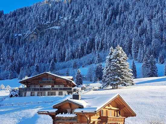 Hotel le Grand Chalet Gstaad Hotel Exterior