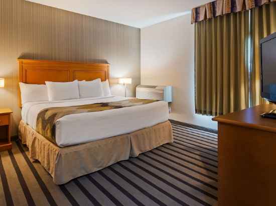 Best Western King George Inn  Suites Rooms