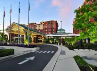 Hilton Garden Inn Rockville-Gaithersburg Hotels near Rockville Town Square