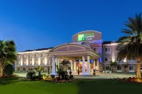 Holiday Inn Express & Suites New Iberia-Avery Island Hotels in New Iberia