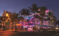 Clevelander Hotel Hotels in Miami Beach