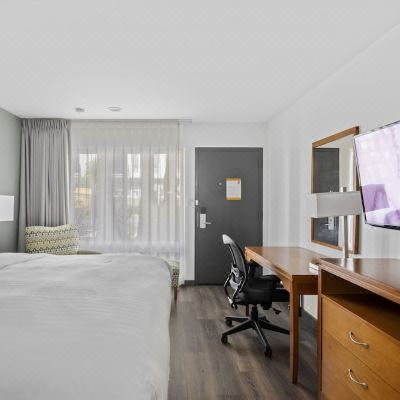 Standard Queen Room Vagabond Inn Glendale Promo Code