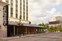 Hilton Nashville Downtown Hotels near Scarlett Begonia