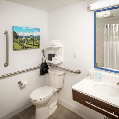 Queen Accessible with Tub Non-Smoking Hampton Inn Long Island/Commack Promo Code