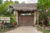 Room in Lodge - Unique Jungle Dome Ik