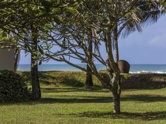 The Frangipani Tree by Edwards Collection Hotel Exterior