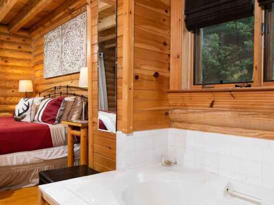 Cozy Upscale Cabin w Fireplace Hot Tub Fitness & Recreational Facilities