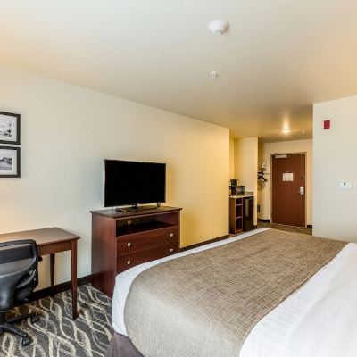 King Room-Non-Smoking Cobblestone Hotel & Suites – Chippewa Falls Promo Code