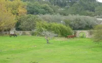 Quinta Do Scoto Hotel di Algueirão