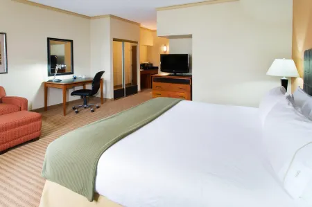 Holiday Inn Express & Suites Irving DFW Airport North