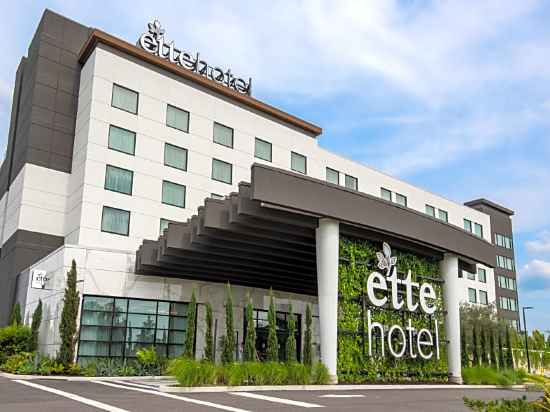 Ette Hotel - Orlando Hotel Exterior