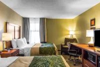 Comfort Inn Newport News-Williamsburg East Hoteles en Roberts