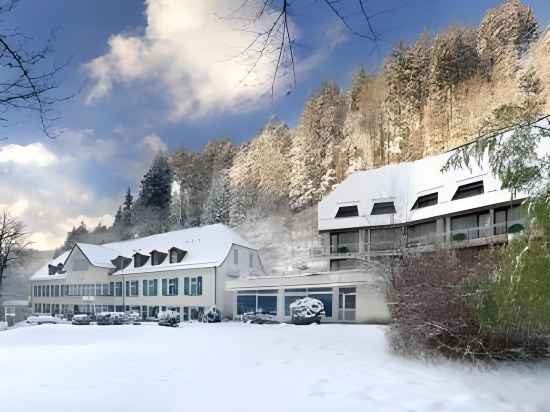 Waldhotel Bad Sulzburg Hotel Exterior