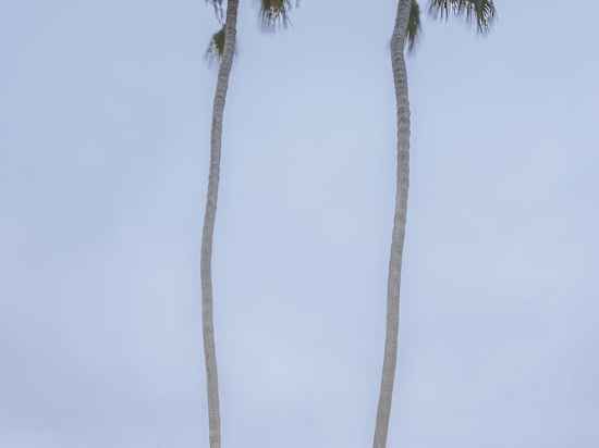 La Jolla Beach and Tennis Club Hotel Exterior