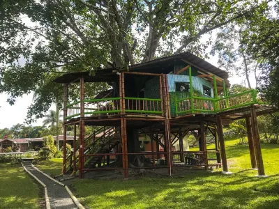 Room in Lodge - Tree House Finca la Floresta Verde