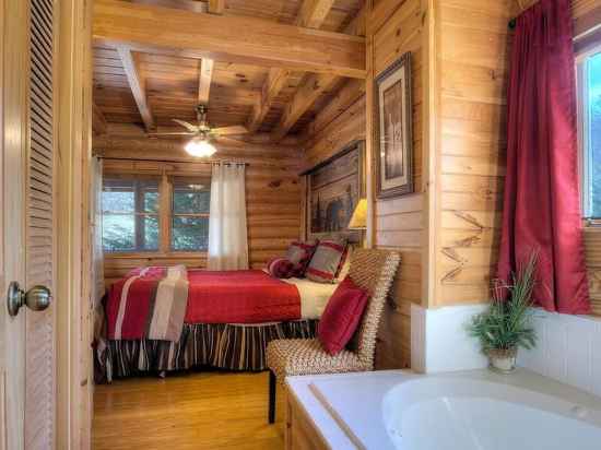 Gorgeous Cabin Hot Tub Fireplace Great Location Rooms