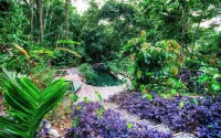 La Shamana - Ecological Concept in Jungle Hotels in Cahuita