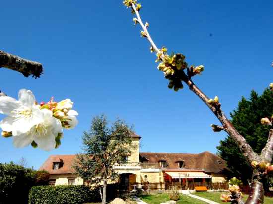 Logis Hôtel les Collines Hotel Exterior