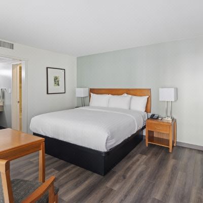 Standard King Room Vagabond Inn Glendale Promo Code