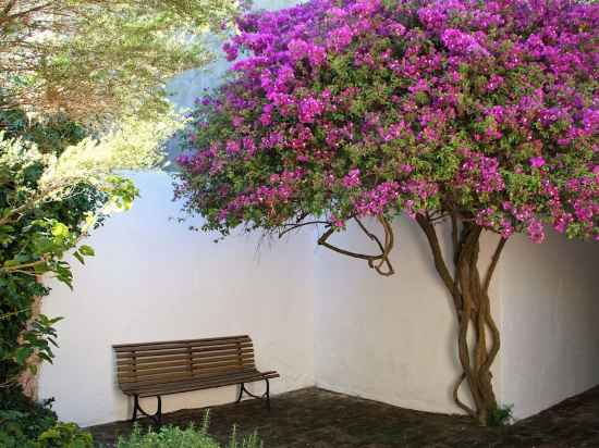 Posada Manuel Lobo Hotel Exterior