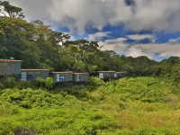 The Rainforest Ecolodge - Sinharaja with Shuttle Service Hotels near Talalla Beach