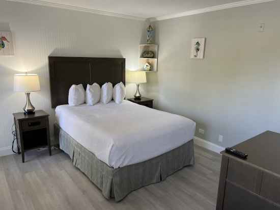 Marco Island Lakeside Inn Rooms