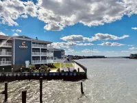 Comfort Suites Chincoteague Island Bayfront Resort Hotels near Flying Fish Gallery