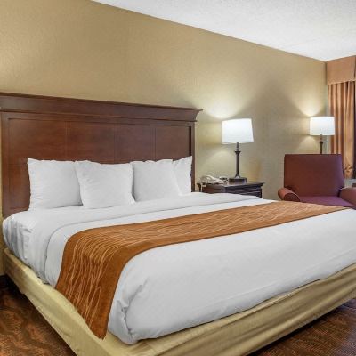 Standard King Room-Non-Smoking Comfort Inn at Thousand Hills Promo Code