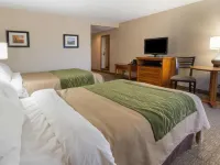 Comfort Inn & Suites Syracuse-Carrier Circle Hotels in East Syracuse