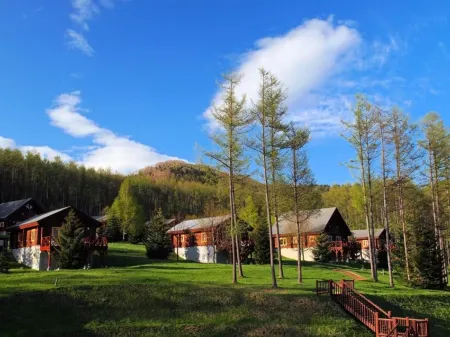 Log Hotel Larch Lake Kanayama