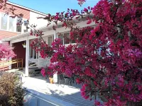 Kristinebergs Bed & Breakfast Hotels in Mora