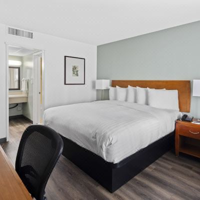 Standard Queen Room Vagabond Inn Glendale Promo Code