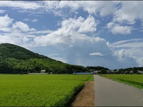 Farmfarm Umi no Michi Munakata Hall 주변 호텔