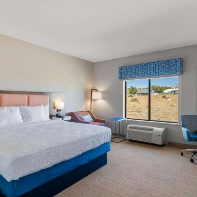 Room, 1 King Bed, Accessible (Hearing) Hampton Inn Colorado Springs Northeast Promo Code