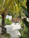 Oasis Dhigurah Hotels in Dhidhdhoofinolhu