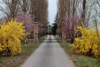 Agriturismo Corte Rocca Hotel di San Giorgio di Mantova