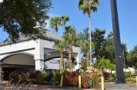 Opal Hotel & Suites Hotels near Cranes Roost Park