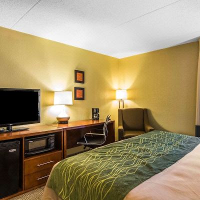 Standard King Room - Non-Smoking Comfort Inn Newport News/Williamsburg East Promo Code